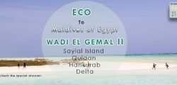 Eco to Wadi El Gemal National park , Marsa Alam, Red Sea.