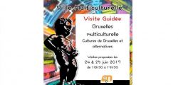 Visite alternative de Bruxelles multiculturelle