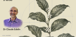 Conférence « La diversité des plantes tropicales », animée par le Dr Claude Edelin