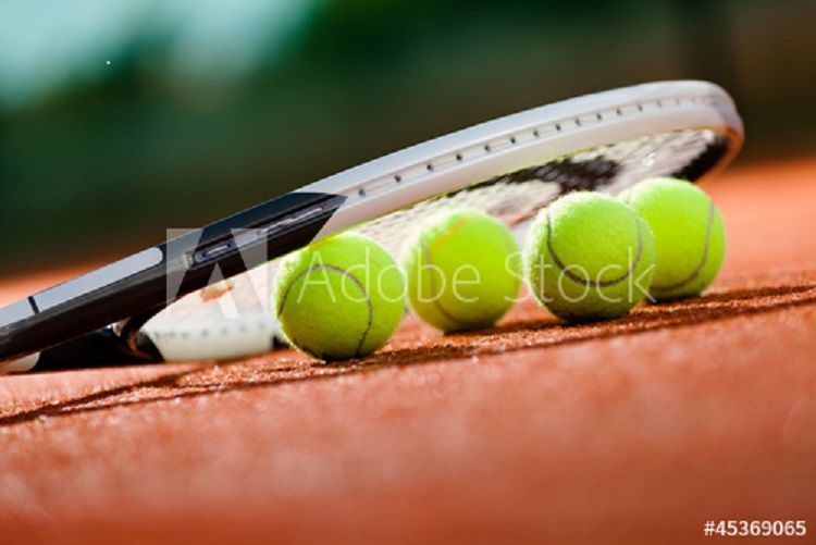 Tournoi de tennis amical pour expats seniors ( 50a)