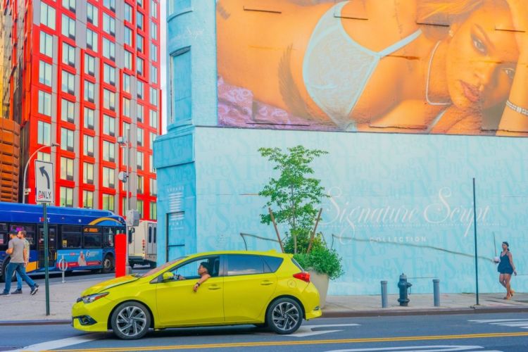 Lucia Buricelli - Everything Is Bright Here