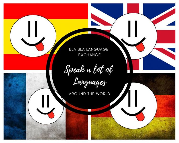 FREE INTERNATIONAL CULTURAL and LANGUAGE EXCHANGE