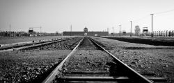 Krakow & Auschwitz Trip