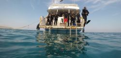 Ras Mohaned - Thistlegorm diving Liveabroad 