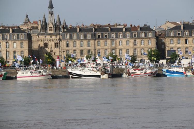 Formation de français en immersion - Bordeaux, France