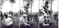 Mostra fotografica Joseph Beuys - Dialoghi ed energie condivise di Stefano Fontebasso De Martino e Incontro Interdisciplinare