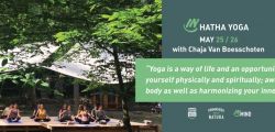 Yoga session in the Forest of Canyon Park 