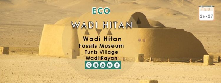 Discover the story behind the valley  of whales  ( wadi hitan )