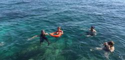 Snorkelling Trip in Jubail