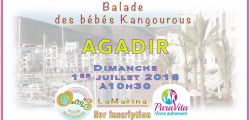 Agadir: Balade des bébés Kangourous