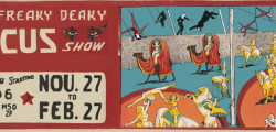 The Freaky Deaky island6 Circus Show