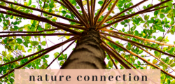 Wake UP: Reconnect with Nature