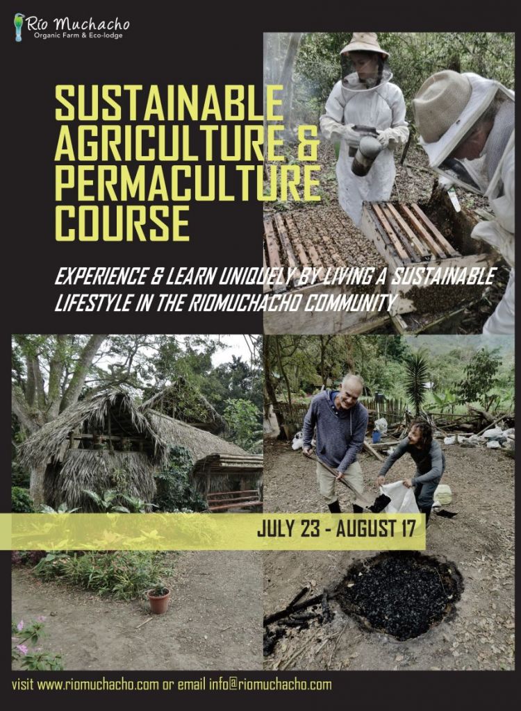 Four week course in Sustainable Agriculture & Permaculture