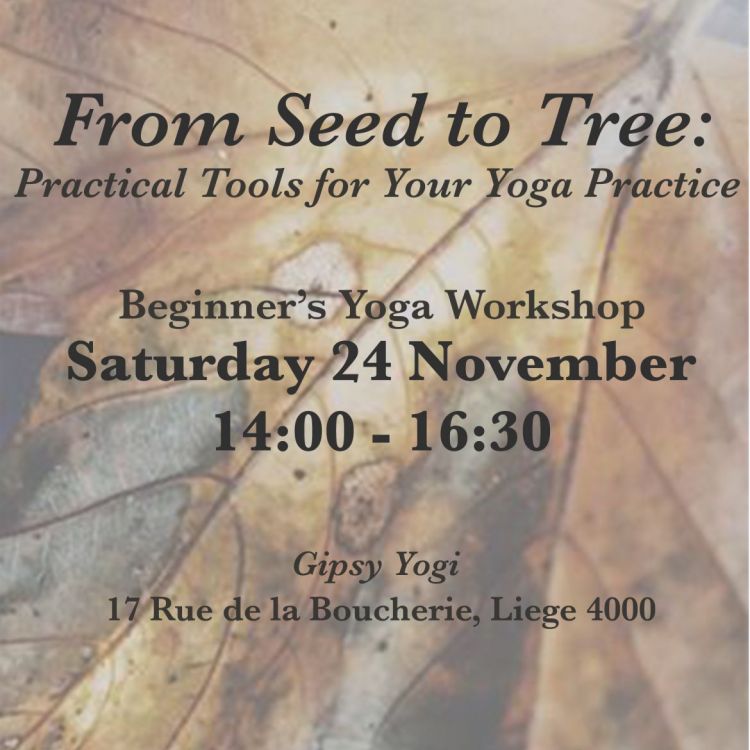 From Seed to Tree: Practical Tools for Your Yoga Practice