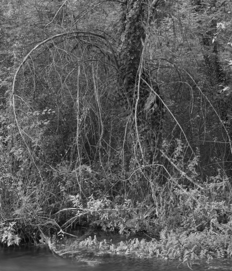 Antonio Di Cecco  - Ciò che resta. Materiali per un archivio sensibile intorno alla natura del fiume