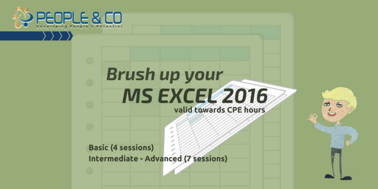 MS Excel 2016 Basic-Advanced