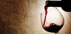 &#9835; BLIND Wine Tasting & CLASSIC GUITAR / 5 wines   1 cava (english)