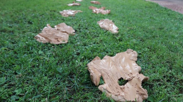 Germogliati semi. Omaggio a Joseph Beuys nel Quarantennale della scomparsa 