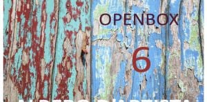 OPENBOX6 - Albero d&#39;Artista