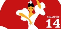 ESPECTACULO DE FLAMENCO