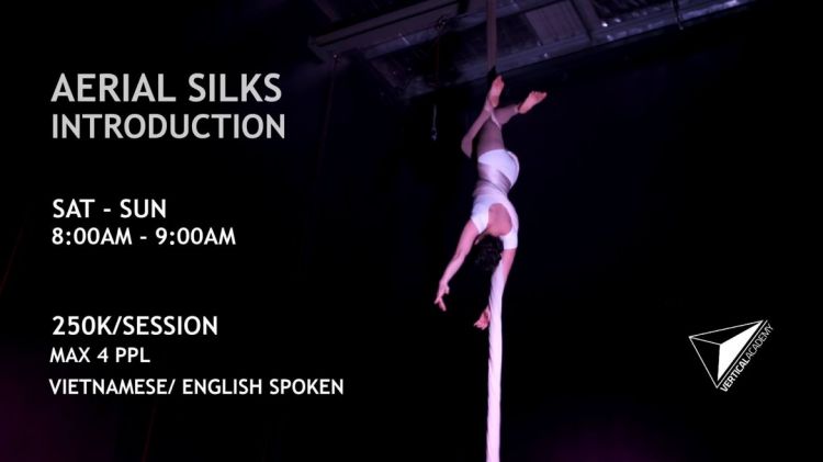 Intro to Aerial Silks dance 