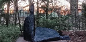 Anna Izzo - Resilienza