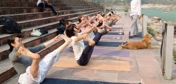 300 Hour Yoga Teacher Training In Rishikesh, India