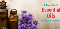 Essential Oils Learning & Experience!