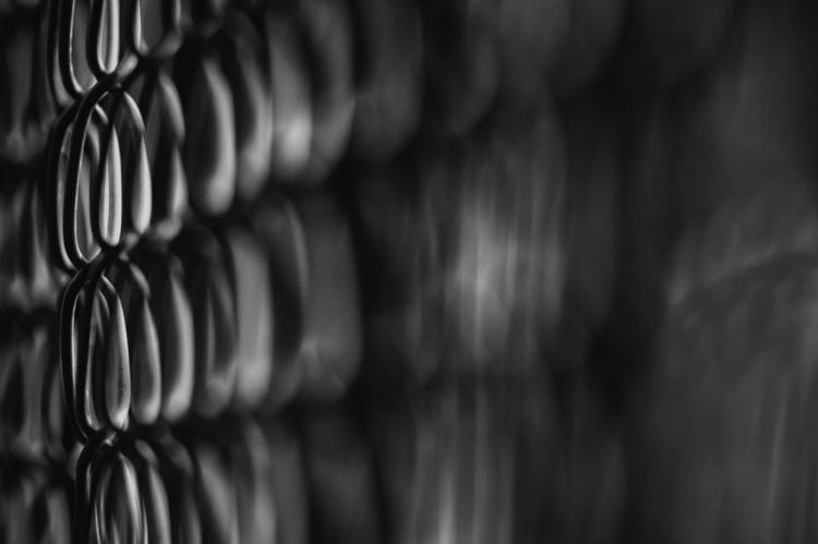 LIBERTICIDIO: Joseph De Felici e Ferdinando Gatta