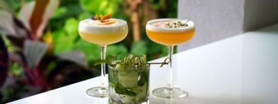 MeetMe. Love - Cocktails and Canapés Dating Event