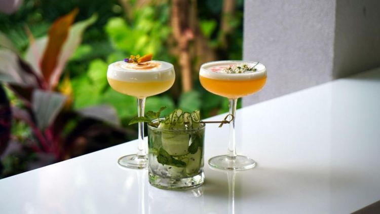 MeetMe. Love - Cocktails and Canapés Dating Event