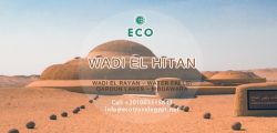Eco Camping in Wadi Hitan 