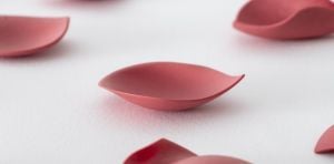 Emanuela Mastria - Scarlet