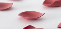 Emanuela Mastria - Scarlet