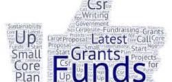 Effective Grant Management and Fundraising for Non-Governmental Organizations