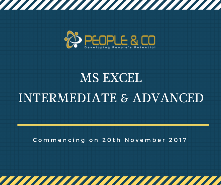 MS EXCEL Intermediate & Advanced Levels