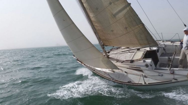 Free sailing with KOSA - Friday 11th November 2016