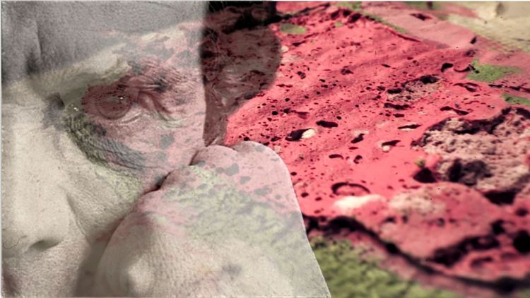 WHO IS ME - Ritornare al Corpo Ferito