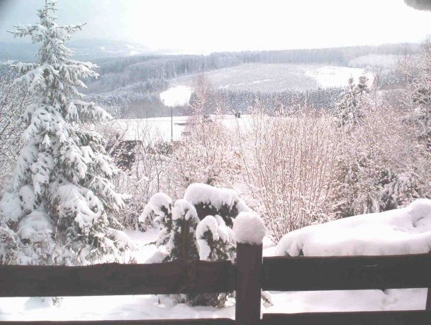 Hivers dans les Ardennes