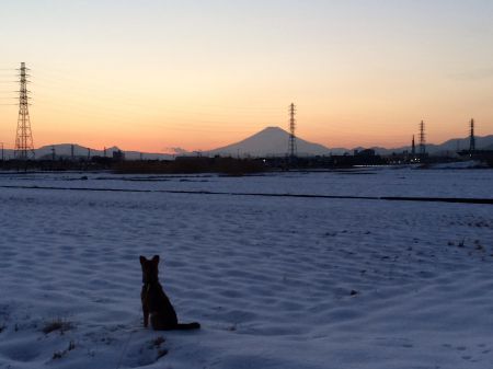 Scooby and Fuji