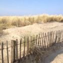 Sand Dunes at Noordwijk