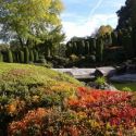Bonn Japanese Gardens in Autum