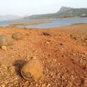 "Dinosaur Egg" Stones in Lonavla lake