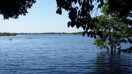 manaus rio negro