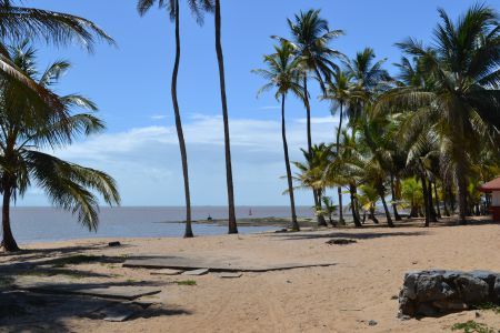 Plage des roches