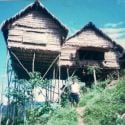 HOUSE OF THE aSLI IN THE JUNGLE