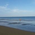 Calmly Mesmerising Beach in Fujairah