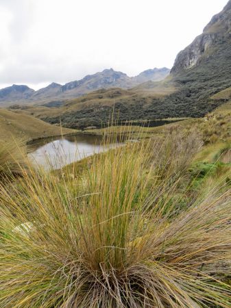 Las Cajas Nation Park