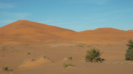 des dunes à Merzouga