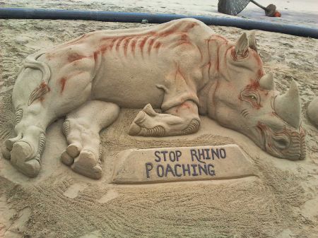 Protect our rhinos